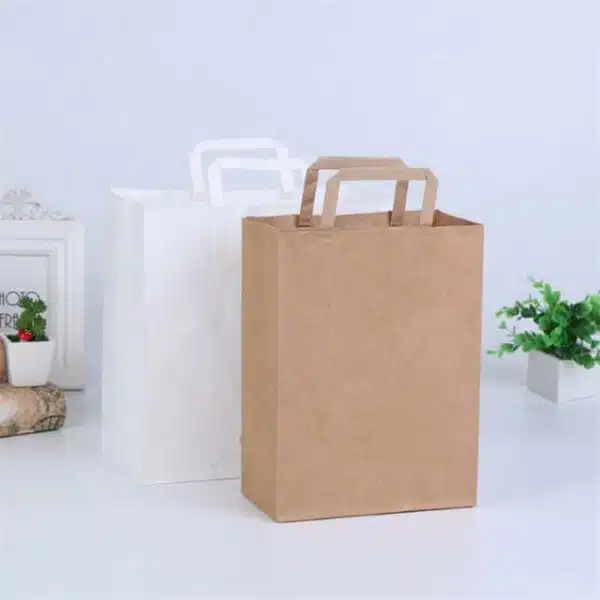 display two custom kraft paper bags with flat paper handles
