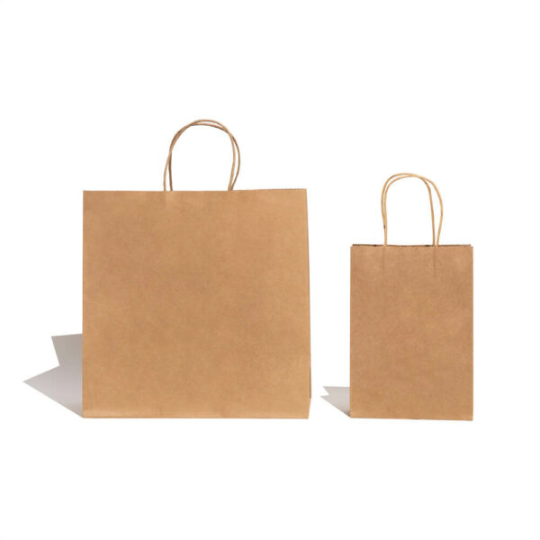 prikažite prednju stranu dviju prilagođenih kraft papirnatih vrećica s upletenom ručkom u različitim veličinama