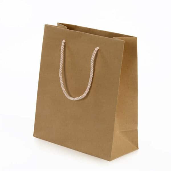 display the custom primary color kraft paper bag with rope handles from left side angle