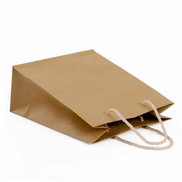 prikažite prilagođenu vrećicu od kraft papira primarne boje s ručkom od užeta s desne strane