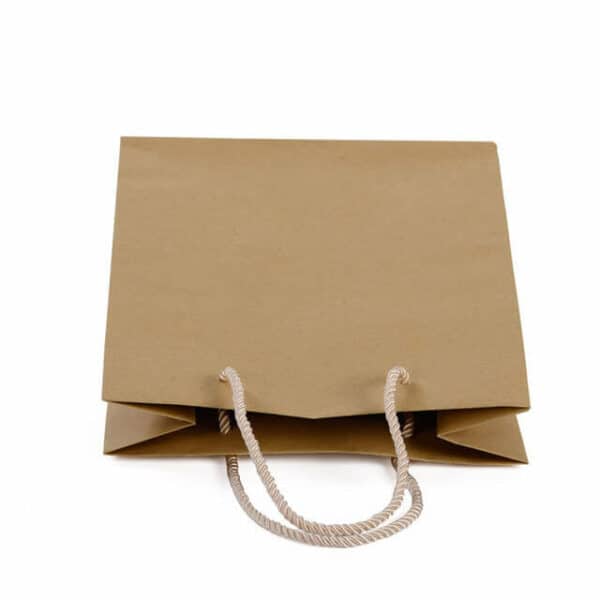 display rope handles of the custom primary color kraft paper bag with rope handle