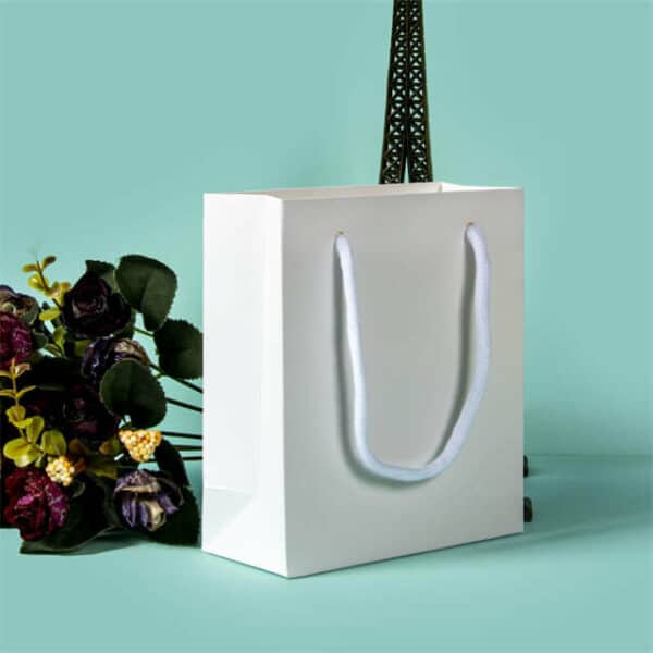 display one white custom reusable gift paper bag