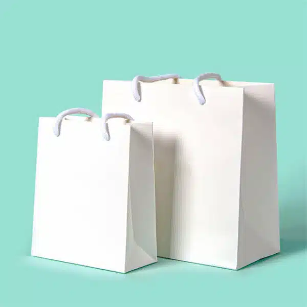 display two blank custom reusable gift paper bags