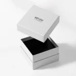 აჩვენეთ Shoulder & Neck Rigid Box ღია მდგომარეობაში მხატვრული სტილით