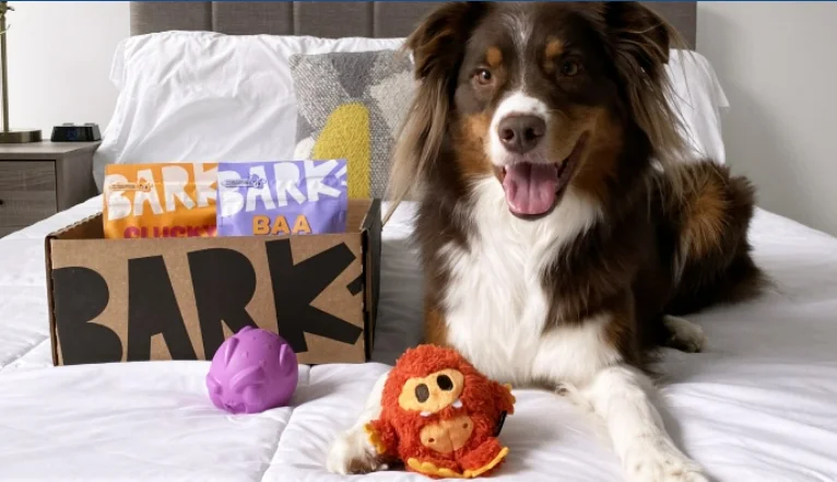 BarkBox subscription box website image